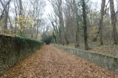 montée à la Tour